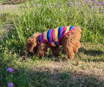 Breathable Colorful Rainbow Vest for Dogs and Cats - GreenFur