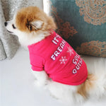 Breathable Cotton T-shirt for Teddy and Bichon in Fall - GreenFur