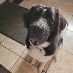 Breathable Durable Comfortable Mesh Dog Muzzle - GreenFur