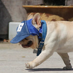Breathable Hat Dog Baseball Cap for Travel Outdoor Shade - GreenFur
