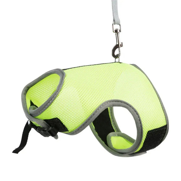 Breathable Small Animal Harness and Leash Set for Rabbit Guinea Pig Hamster Squirrel - GreenFur