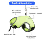 Breathable Small Animal Harness and Leash Set for Rabbit Guinea Pig Hamster Squirrel - GreenFur