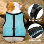 Breathable Small Animal Harness and Leash Set for Rabbit Guinea Pig Hamster Squirrel - GreenFur