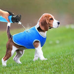 Breathable Summer PVA Cooling Vest for Dogs - GreenFur