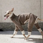 Brown Italian Greyhound Sweatshirt Pullover High Neck Four Legged Whippet Sweater - GreenFur