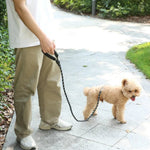 Buffer Handle Durable Reflective Dog Leash - GreenFur