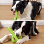 Cactus Rubber Dog Chew Toy with Teeth - Cleaning Textures for Multi - Size Breeds - GreenFur