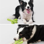 Cactus Rubber Dog Chew Toy with Teeth - Cleaning Textures for Multi - Size Breeds - GreenFur