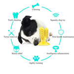 Cactus Shapes Toothbrush Dog Chew Teeth Cleaning Toy - GreenFur