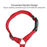 Car Safety Leash for Dogs with Elastic and Adjustable Strap - GreenFur