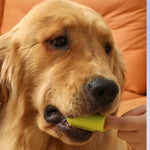 Care Tool Silicone Finger Toothbrush for Dogs and Cats - GreenFur
