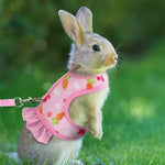 Carrot Printed Rabbit Harness with Nylon Leash for Small Animals - GreenFur