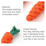 Carrots Safe Braided Puppy Teething Chew Rope Toy - GreenFur