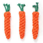 Carrots Safe Braided Puppy Teething Chew Rope Toy - GreenFur