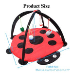 Cartoon Cat Play Mat Tent with Bell Toy Ladybug Bee Butterfly - GreenFur
