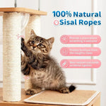 Cat Bubble Cabin Hammock Kitten Condo Tower Wooden Cat Tree - GreenFur