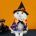 Cat Halloween Party Purple Cloak Black Hat Dog Costume Set - GreenFur