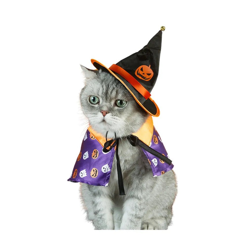 Cat Halloween Party Purple Cloak Black Hat Dog Costume Set - GreenFur