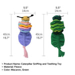 Caterpillar Sniffing and Teething Dog Chew Toy - GreenFur