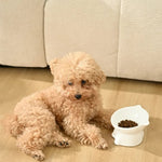 Ceramic Cat Bowl with Elevated Design and Tilted Neck Protection - GreenFur