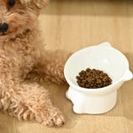 Ceramic Cat Bowl with Elevated Design and Tilted Neck Protection - GreenFur