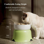 Ceramic Elevated Cat Bowl Anti Spill Food and Water Feeder - GreenFur