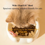 Ceramic Raised Cat Bowl Tilted Design Elevated Pet Feeding Dish - GreenFur