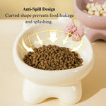 Ceramic Raised Cat Bowl Tilted Design Elevated Pet Feeding Dish - GreenFur