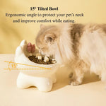 Ceramic Raised Cat Bowl Tilted Design Elevated Pet Feeding Dish - GreenFur