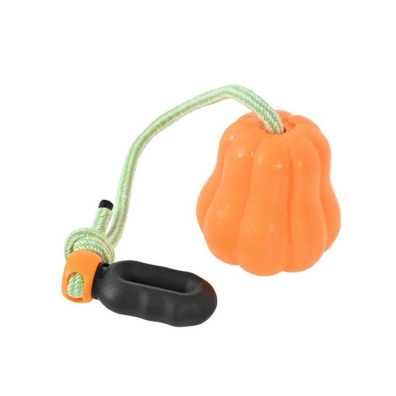 Chew and Teeth Grinding Outdoor Hand - Throw Pumpkin Ball Dog Toy - GreenFur