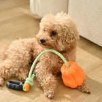 Chew and Teeth Grinding Outdoor Hand - Throw Pumpkin Ball Dog Toy - GreenFur