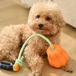 Chew and Teeth Grinding Outdoor Hand - Throw Pumpkin Ball Dog Toy - GreenFur