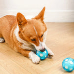Chew Pet Play Floating Sponge TPR Dog Ball Toy - GreenFur