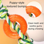 Chew - Resistant Pet Dog Cotton Rope Chew Toy with TPR Ring - GreenFur