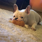 Chicken Leg Shape Squeaky Pet Plush Toys for Small Dogs - GreenFur