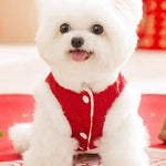 Chinese Red Knot Buttons and Cotton Padding Cozy Pet Jacket - GreenFur