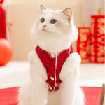 Chinese Red Knot Buttons and Cotton Padding Cozy Pet Jacket - GreenFur