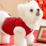 Chinese Red Knot Buttons and Cotton Padding Cozy Pet Jacket - GreenFur