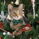 Christmas Cat Collar Breakaway with Cute Bow Tie and Bell for Kitty - GreenFur