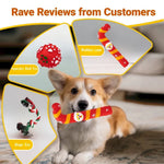 Christmas Dog Toy Gift Box Set Rope Balls and Figures - GreenFur