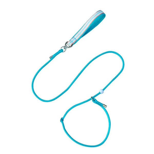 Class P Rope Dog Training Leash Slip Lead Dog Leash - GreenFur