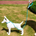 Class P Rope Dog Training Leash Slip Lead Dog Leash - GreenFur