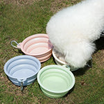 Collapsible TPE Dog Travel Bowl with Carabiner - GreenFur