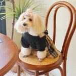 College Style Pet Dress with Large Bowknot - GreenFur