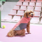 Color - Block Reflective Padded Dog Coat with Fleece Lining - GreenFur