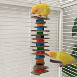Colorful Cardboard and Wood Block String Bird Chew Toy - GreenFur