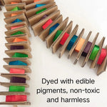Colorful Cardboard and Wood Block String Bird Chew Toy - GreenFur