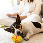 Colorful Egg - Shaped Chewable Pet Latex Toy - GreenFur