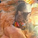 Colorful Felt Rope Cat Toy with Bell Sound for Active Play - GreenFur