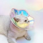 Colorful Flower PVC Pet Elizabeth Collar Dog Cat Bite Lick Protection Neck - GreenFur